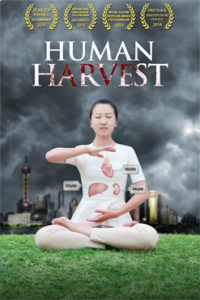Human Harvest Single Screening License