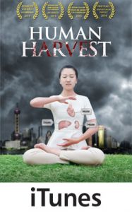 Human Harvest on iTunes